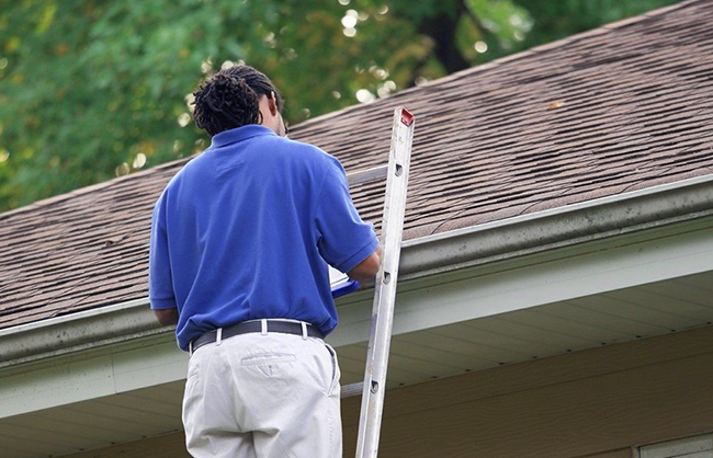 Roof Inspection