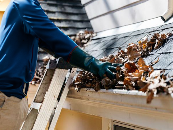 https://renowash.com/wp-content/uploads/2024/04/midlakes-cleaning-gutter-cleaning.png